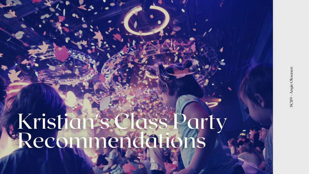 The Sincura Group - Kristian's Class Party IdeasVenues - Page 1